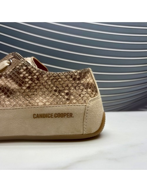 CANDICE COOPER  PITON