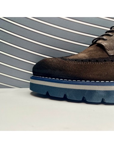 BLUCHER minucioso marron